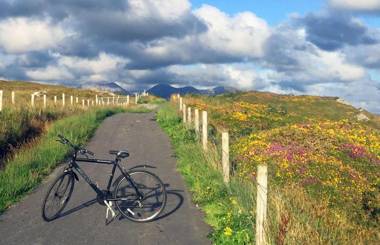 Cottage 315 - Clifden