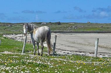 Apartment 263 - Clifden