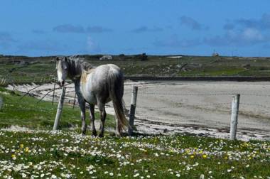 Cottage 118 - Cleggan