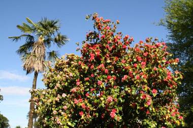 Maranatha Country House