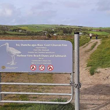 Bridgeview Farmhouse Bed and Breakfast