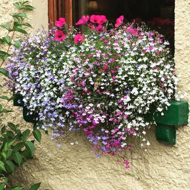 Ballyglass Country House