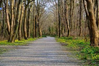 Zoe Bistro & Accommodation