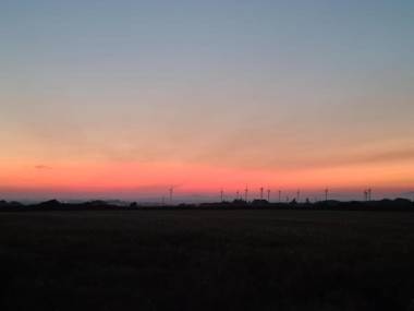 Oak Tree Lane Country House B and B