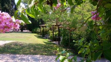 Kibbutz Tiratzvi - Country Lodging