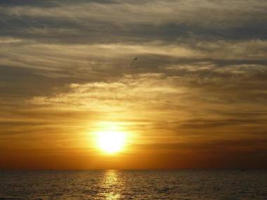 Brown Seaside a member of Brown Hotels