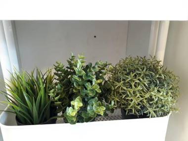 Sunny Luxury Apartments