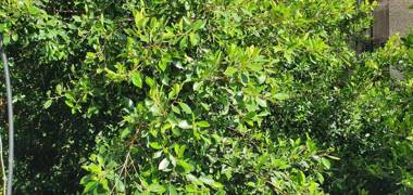 Design 2 Bdr Apartment Hilton Beach #TL55