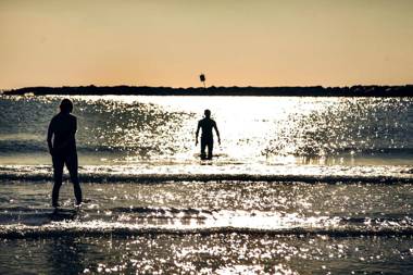 Brown Brut a member of Brown Hotels