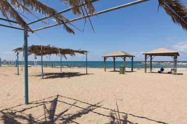 Olive Dolphin Village