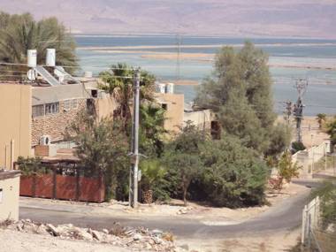 Rose Dead Sea Neve Zohar