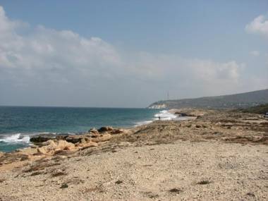 The Wooden Rose Cabins