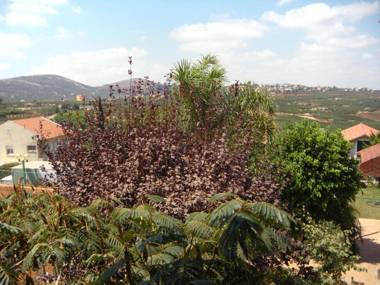 In our backyard - Metula