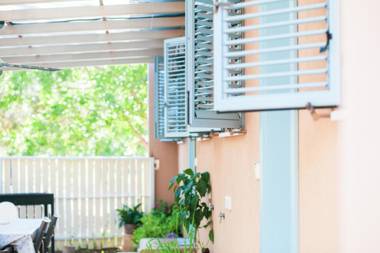 Olive - Israeli Zimmer