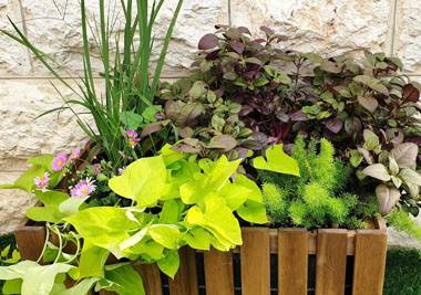 La Finca Luxury Suites Hotel