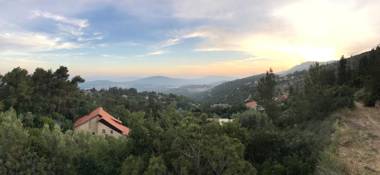 Zimmers at the Forest