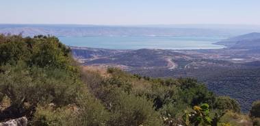 Red and White אדום לבן