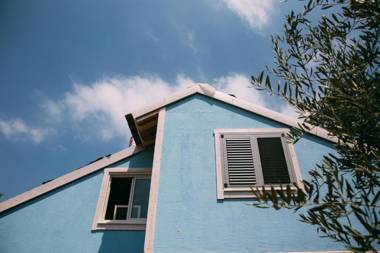 Blue House In The Woods- Amirim