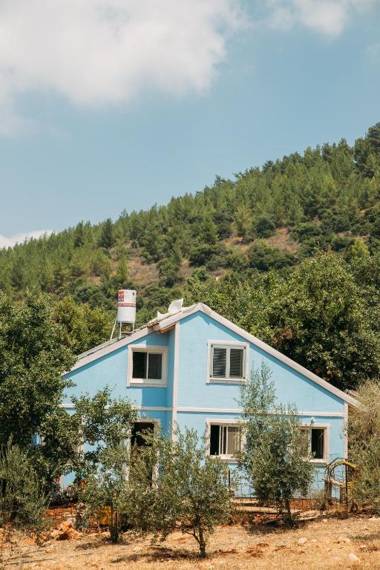 Blue House In The Woods- Amirim