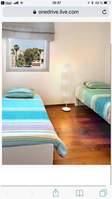 JERUSALEM KING DAVID