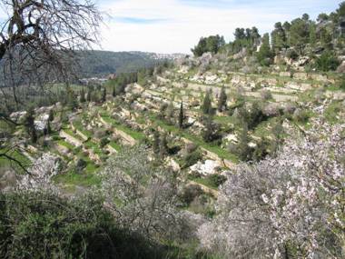 Khan Ein Karem