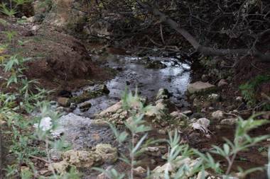 Mantur Parod by Selina