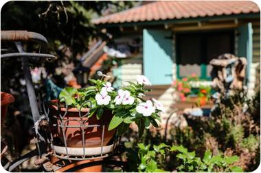 Kucha in the Village