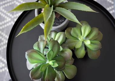 ApartHotel Okeanos on the Beach