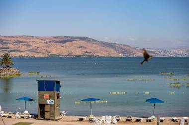 Daria- Authentic Israeli Experience