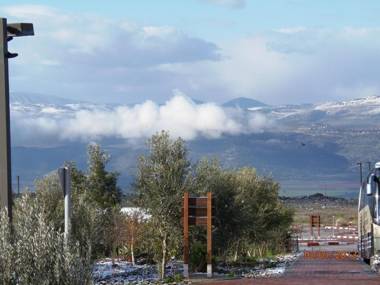 Biktot Hamatzok - Eucalyptus