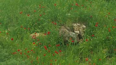 At Gil's and Galit's Place- Hospitality Health and Spa