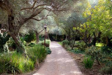 Mantur West Galilee by Selina