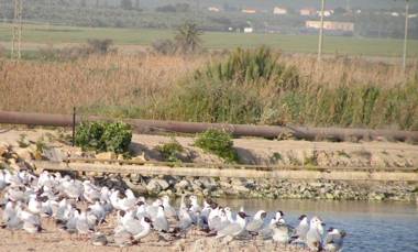 Jordan Valley Birding Lodge