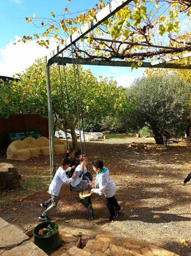 Back to Nature Camping & Huts