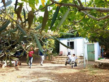 Back to Nature Camping & Huts