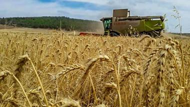 Galilee Best Location