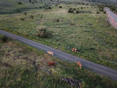 Cnaan Village Boutique Hotel & Spa