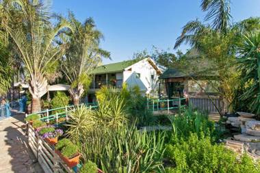 Out of Africa Resort