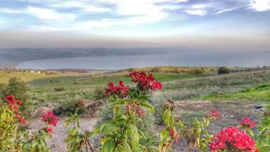 Sea Of Galilee Site