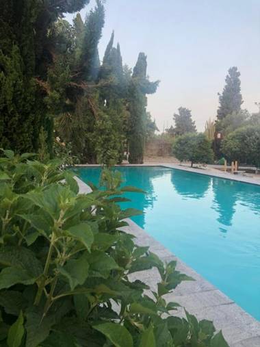 Felina place by Shuli