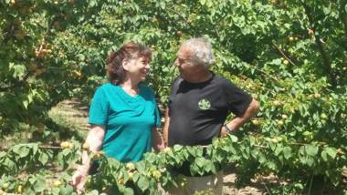 Nuriel Fruit & Guest House