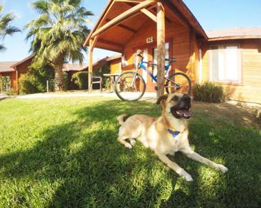 The Village- Jordan Riverside Travel Hotel