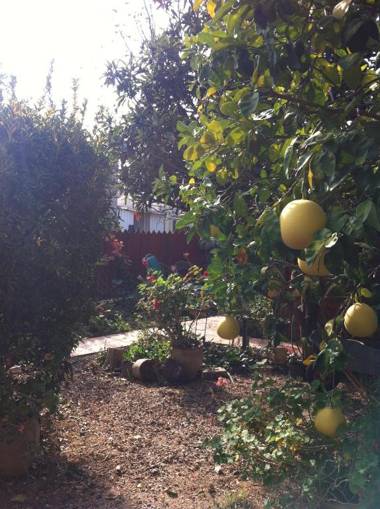 Klein Hospitality in the Galilee Hagoshrim