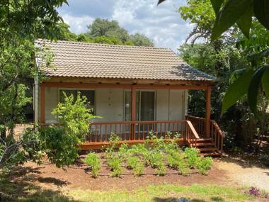 Happiness in the Galil