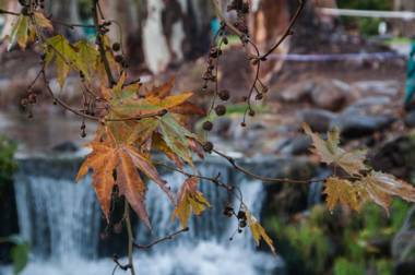 Erettz Dafna Travel Hotel