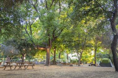 Camping Dafna - By Travel Hotel Chain