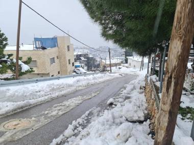 צימר עץ זוגי vida bhermon