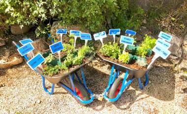 Suites in the Galilee