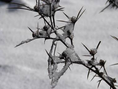 Aloney Habashan Guest village