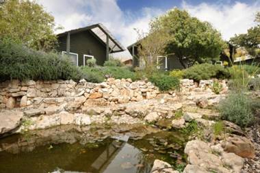 Sea of Galilee Wonders